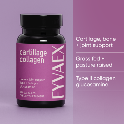 CARTILAGE COLLAGEN